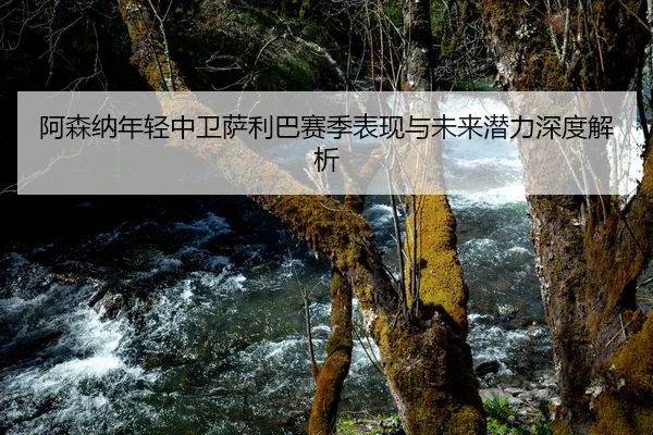 阿森纳年轻中卫萨利巴赛季表现与未来潜力深度解析